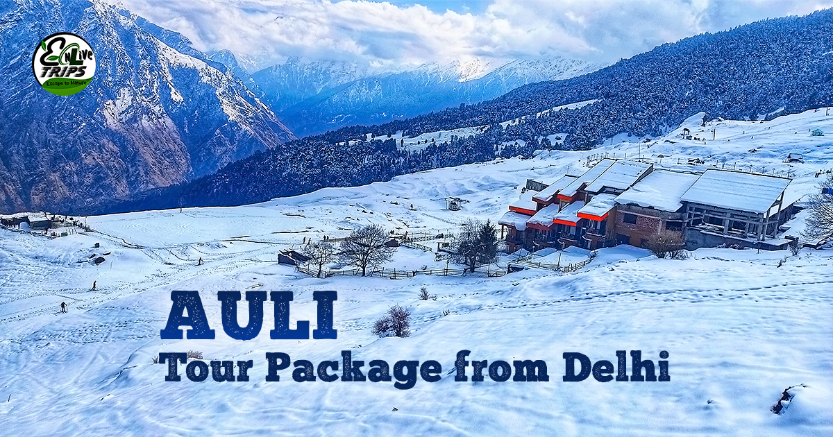 Auli tour package from Delhi	